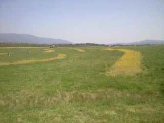 CA390181.jpg