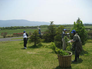 IMG_1112.jpg