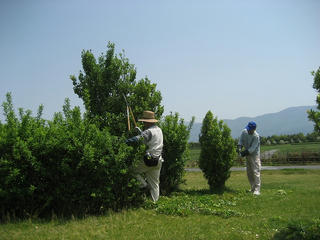 s-IMG_1113.jpg