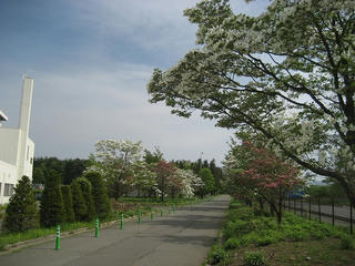 IMG_1130.jpg