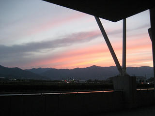 IMG_1306.jpg