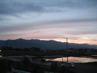 IMG_1313.jpg