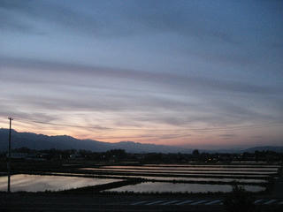 IMG_1317.jpg