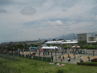 IMG_1466s.jpg
