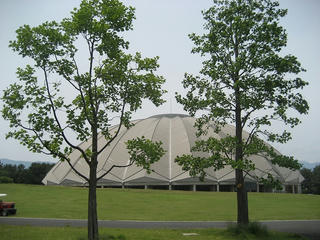 IMG_1543.jpg