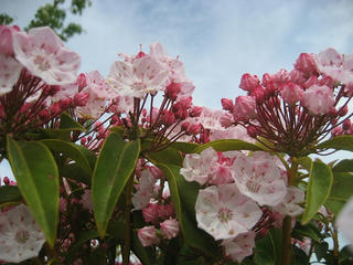 IMG_1605.jpg