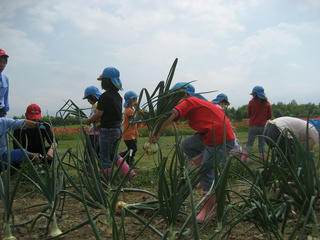 IMG_1687.jpg