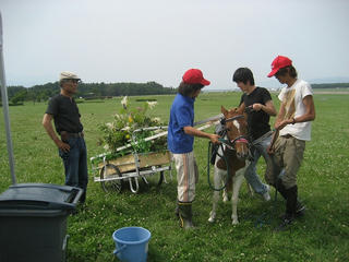 IMG_1942.jpg