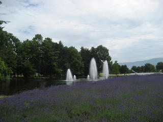 IMG_2160.jpg
