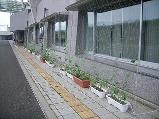 UNI_1839.jpg