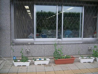 UNI_1843.jpg