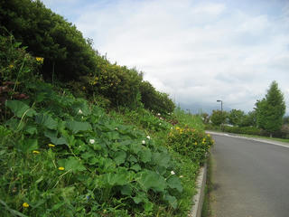 IMG_2448.jpg