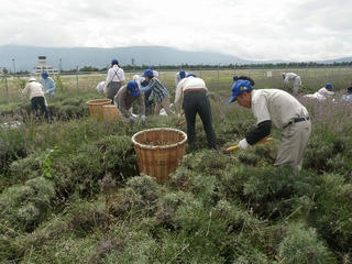 s-P1011373.jpg