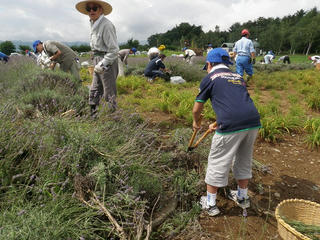 s-P1011375.jpg