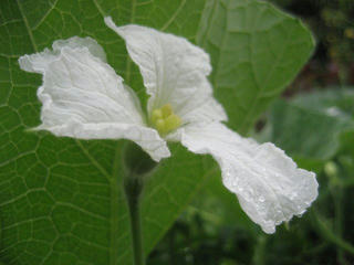 IMG_2457.jpg