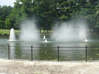 DSC03258.jpg