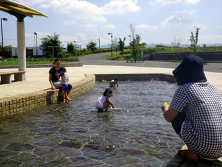 P9051691_2.jpg