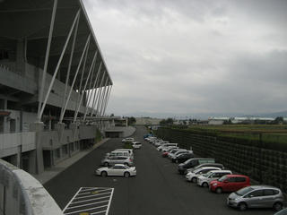 IMG_3377.jpg