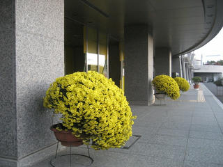 IMG_3740.jpg