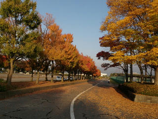 s-PA302189.jpg
