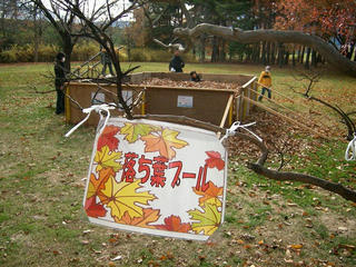 UNI_0289.jpg