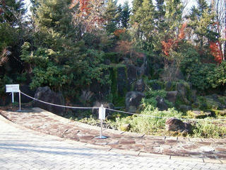 UNI_0308.jpg