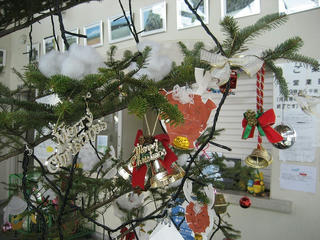 IMG_4075.jpg