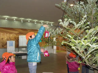 DSCF0072.jpg