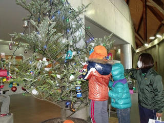 DSCF0083.jpg