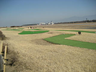 IMG_4247.jpg