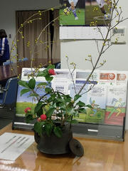 DSCF1177.jpg