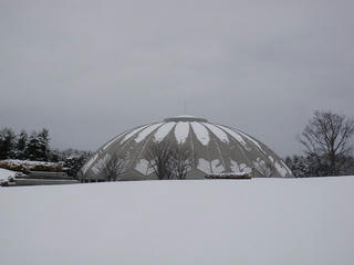 s-P3084382.jpg