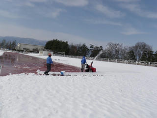 s-P3124400.jpg