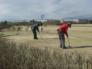 IMG_4417.jpg