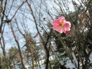 s-IMG_0472.jpg