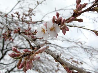 IMG_0808-01.jpg