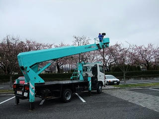 DSCF0772.jpg