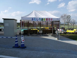 DSCF1596.jpg