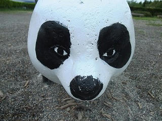 DSCF1045.jpg