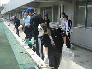 IMG_4629.jpg