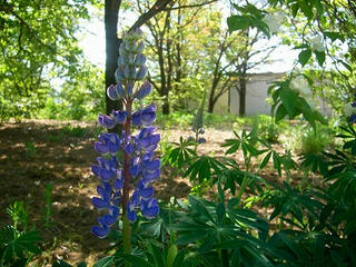 UNI_0552.jpg