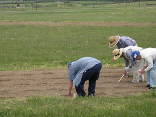 s-P5225114.jpg