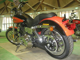 IMG_4591.jpg