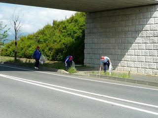 P1000329.jpg