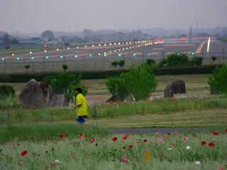 DSCF2528.jpg
