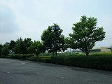DSCF1118.jpg