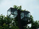 DSCF1119.jpg