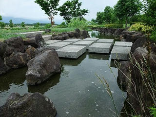 DSCF1158.jpg