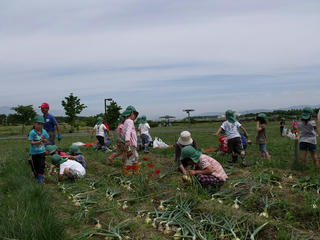DSCF2877.jpg
