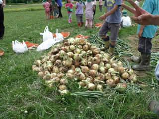 DSCF2903.jpg